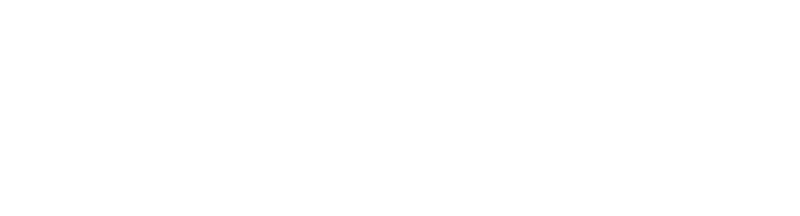 Dragon Age: Origins logo in white