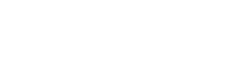 FIFA 20 logo in white