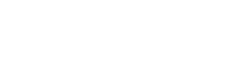 Hollow Knight: Silksong logo in white