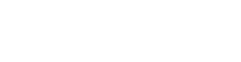 Kingdom Come: Deliverance II logo in white