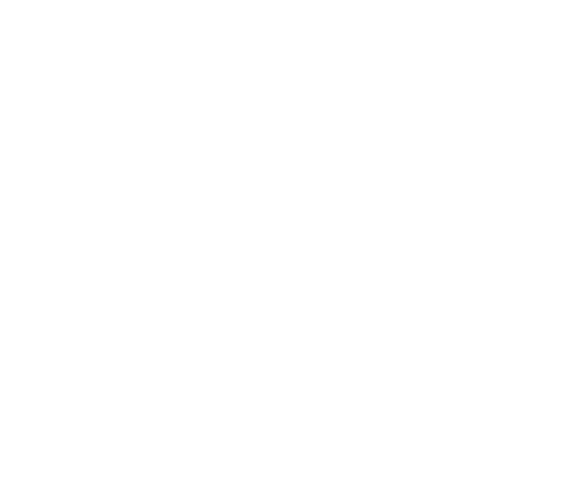 Persona 4 logo in white