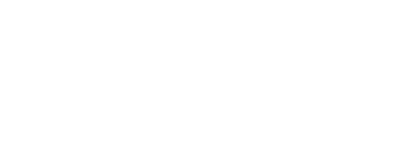 Stray logo in white