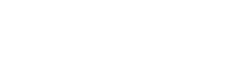 Tomb Raider: Anniversary logo in white